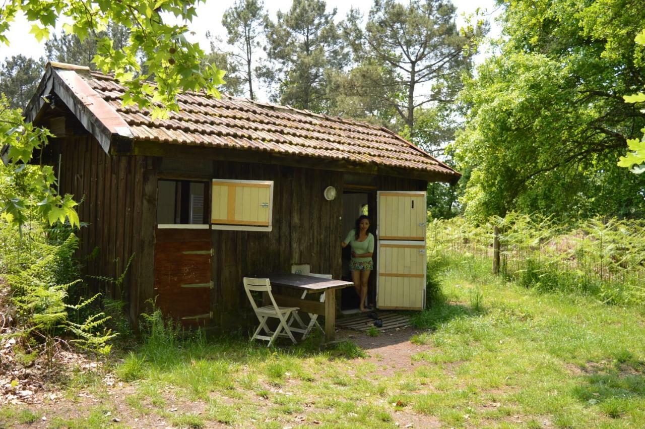 Cabane En Foret Onesse-et-Laharie Экстерьер фото