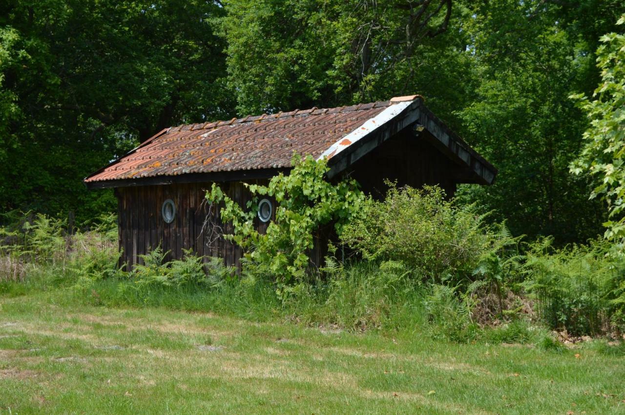 Cabane En Foret Onesse-et-Laharie Экстерьер фото